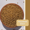 Paigambari Wheat: Rediscovering India’s 4,500-Year-Old Nutritional Treasure