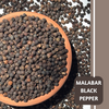 Malabar Black Pepper: The King of Spices and the Healer of Guts