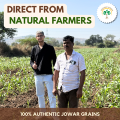 Sorghum Flour (Jowar Atta)