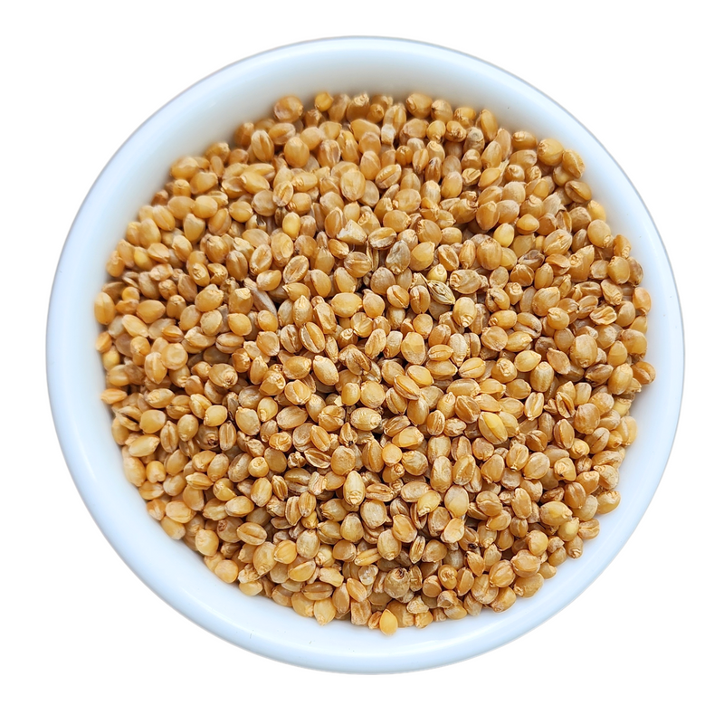 Paigambari Wheat Whole (Paigambari Wheat Grains)