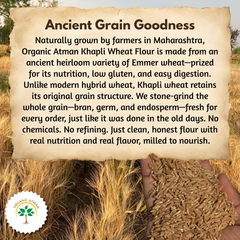 Khapli Wheat Flour (Khapli Atta)