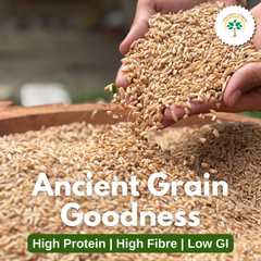 Khapli Wheat Whole (Khapli Wheat Grains)
