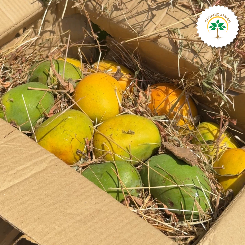 100% Natural Ratnagiri Alphonso Mangoes
