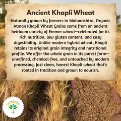 Khapli Wheat Whole (Khapli Wheat Grains)